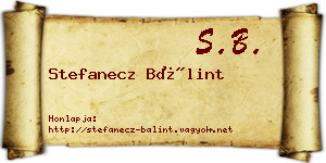 Stefanecz Bálint névjegykártya